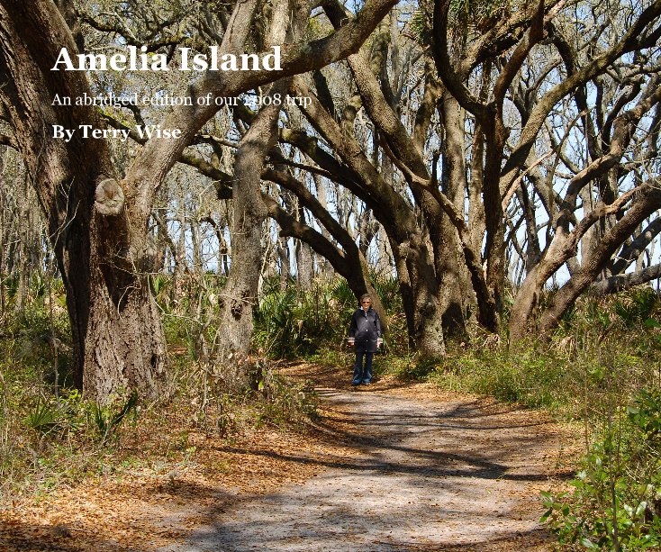 View Amelia Island by Terry Wise