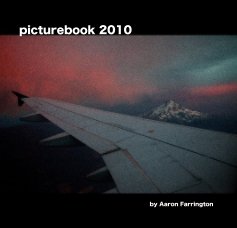 picturebook 2010 book cover