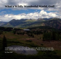 What a Wildly Wonderful World, God! book cover