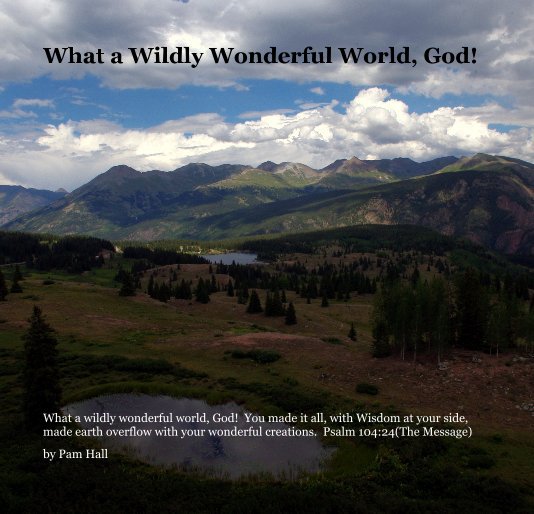 Ver What a Wildly Wonderful World, God! por Pam Hall