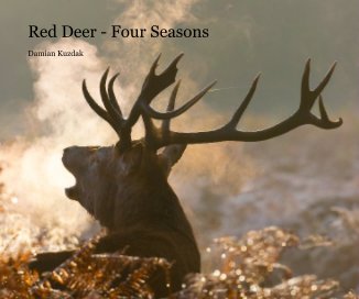 Red Deer - Four Seasons book cover
