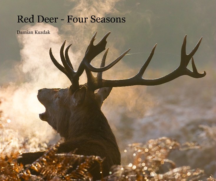 View Red Deer - Four Seasons by Damian Kuzdak