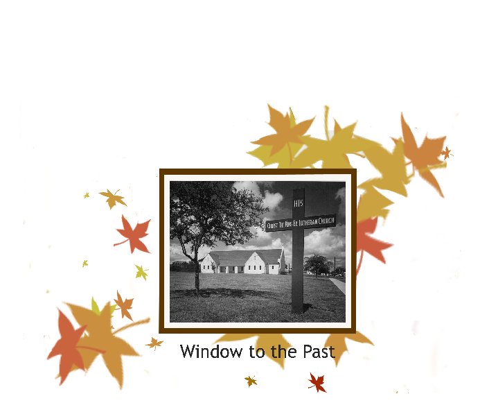 Visualizza Window to the Past di Edited by Anna Fay Williams and Beverly Palmer