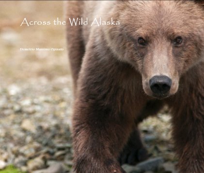 Across the Wild Alaska book cover