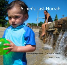 Asher's Last Hurrah book cover