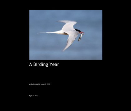 A Birding Year book cover