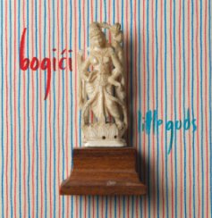Bogici book cover