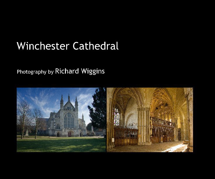 View Winchester Cathedral by Richard Wiggins