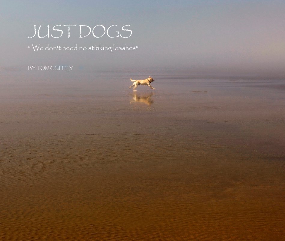 Visualizza JUST DOGS " We don't need no stinking leashes" di TOM GUFFEY