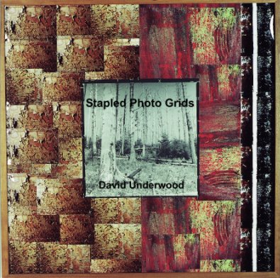 Stapled Photo Grids                              David Underwood book cover