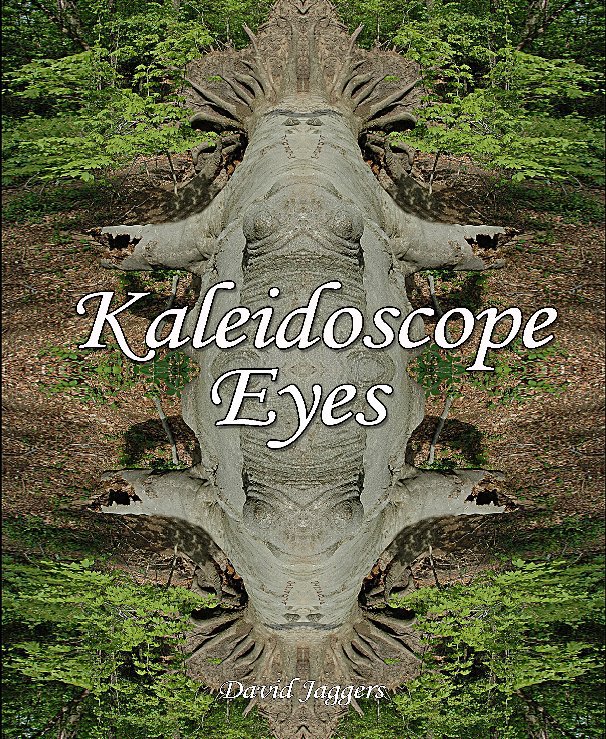 View Kaleidoscope Eyes by David Jaggers