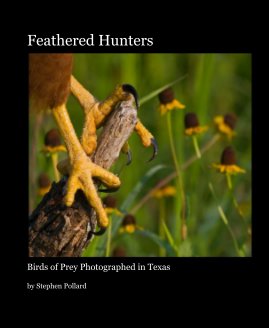 Feathered Hunters book cover