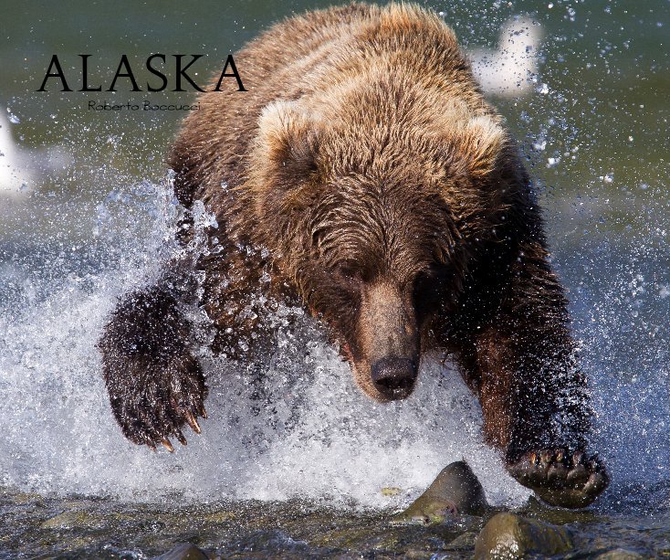 Ver Alaska por Roberto Boccucci