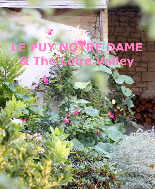 Ver LE PUY NOTRE DAME & The Loire Valley por Wendy Dreaney