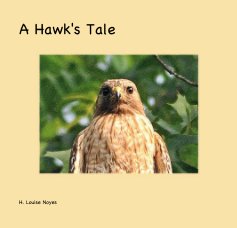A Hawk's Tale book cover