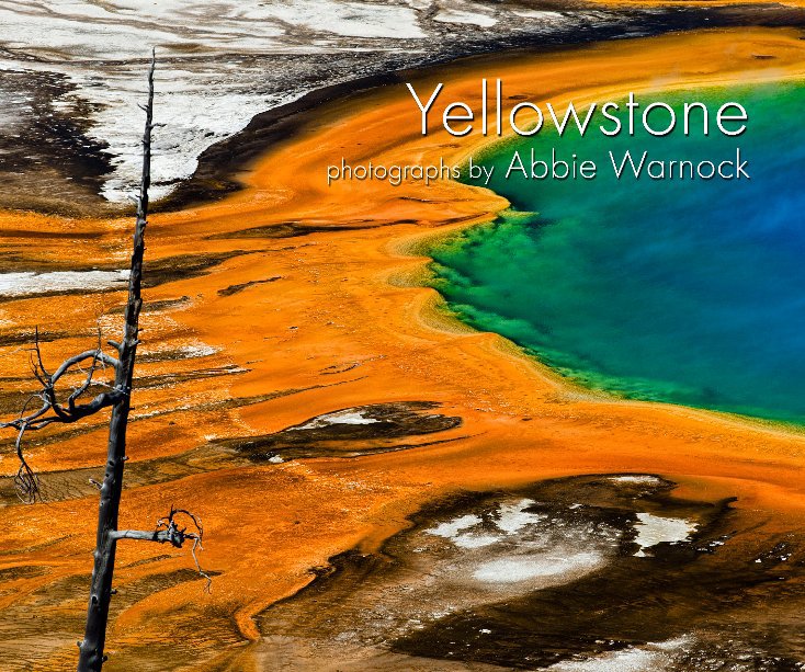 View Yellowstone by Abbie Warnock