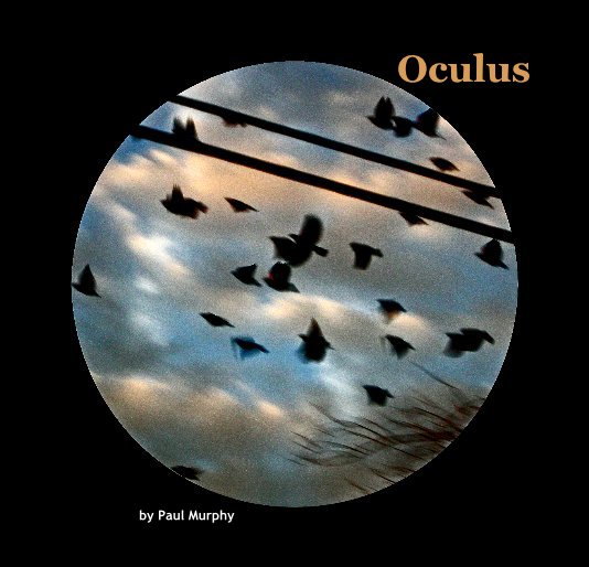 View Oculus by Paul Murphy