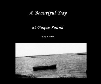 A Beautiful Day book cover