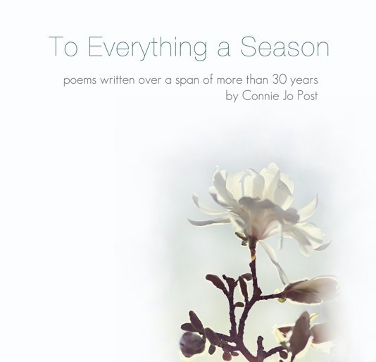 View To Everything a Season by Connie Jo Post