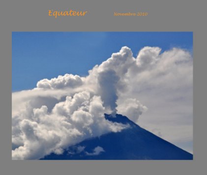 Equateur Novembre 2010 book cover