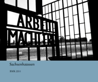 Sachsenhaussen book cover