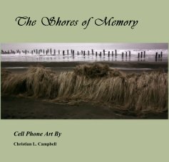 The Shores of Memory book cover
