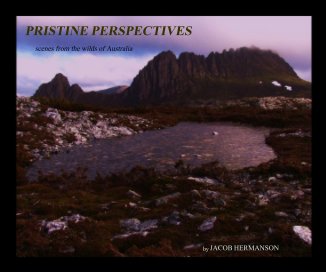 PRISTINE PERSPECTIVES book cover