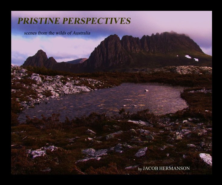 View PRISTINE PERSPECTIVES by JACOB HERMANSON