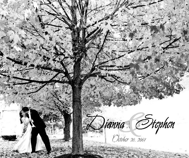 View Our Wedding by Dianna Coppolo