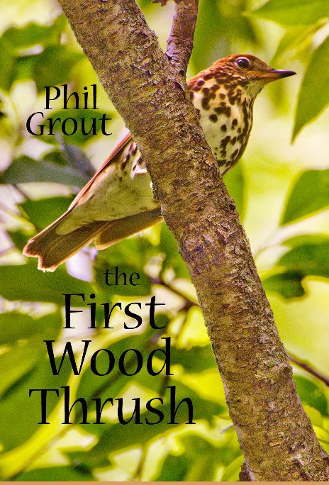Ver The First Wood Thrush por Phil Grout