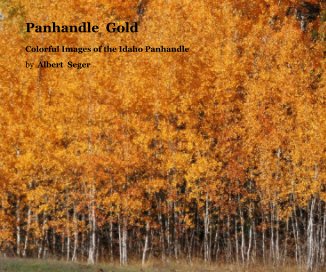 Panhandle  Gold book cover