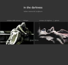 in the darkness book cover