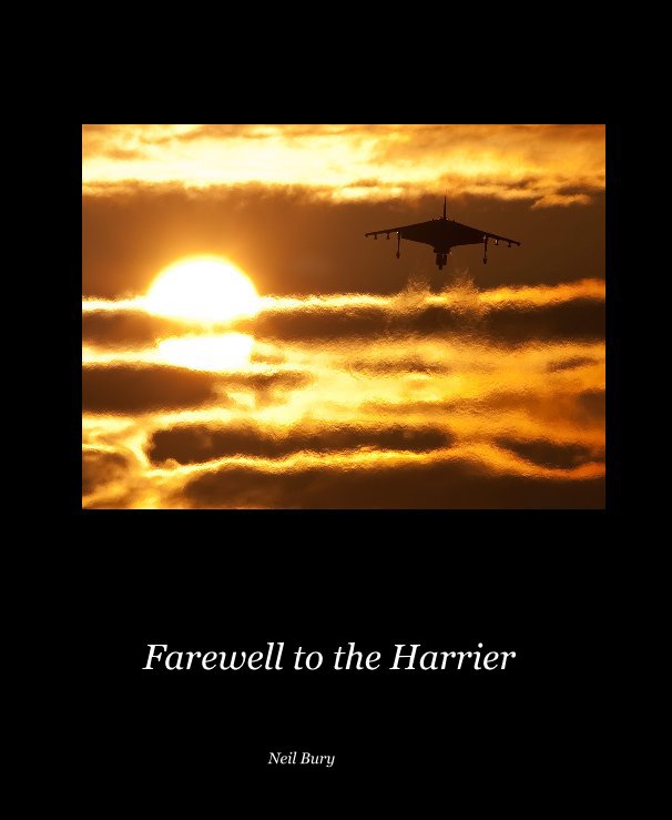 View Farewell to the Harrier by Neil Bury