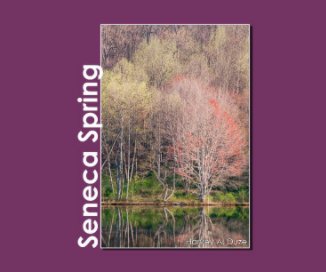 Seneca Spring book cover