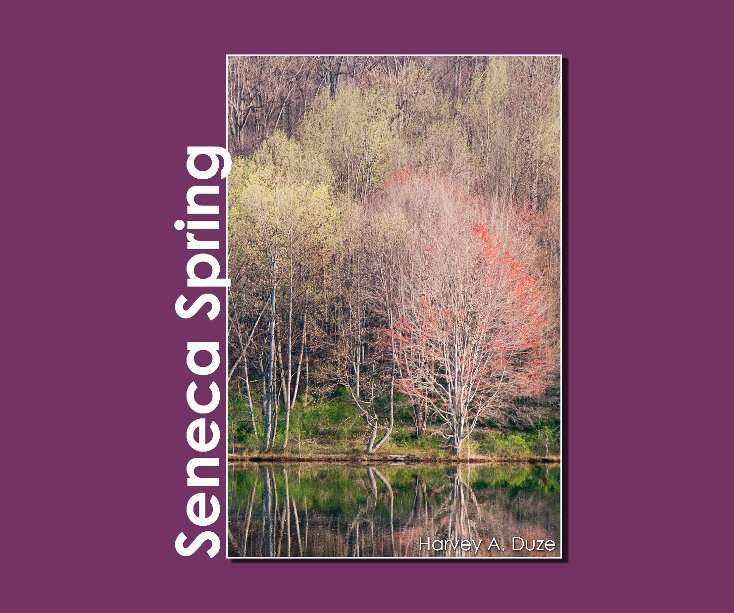 View Seneca Spring by Harvey A. Duze
