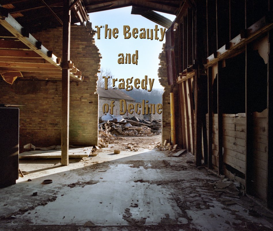 View The Beauty and Tragedy of Decline by Raelyn Ruppel