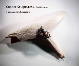 Copper Sculptures by Paul Kaufman book cover