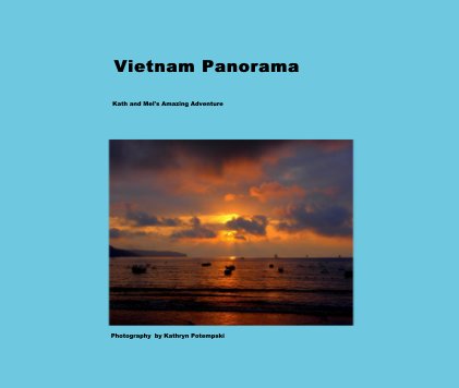 Vietnam Panorama book cover