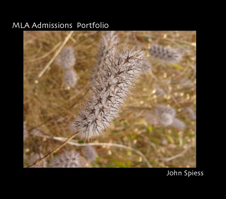 View MLA portfolio final by John Spiess