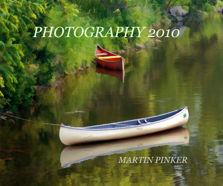 View PHOTOGRAPHY 2010 by MARTIN PINKER