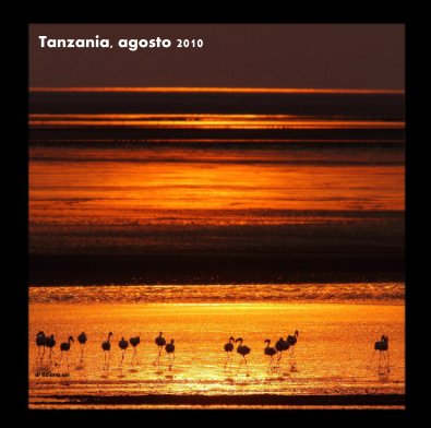 Tanzania, agosto 2010 book cover