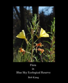 Flora in Blue Sky Ecological Reserve book cover