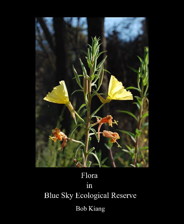 View Flora in Blue Sky Ecological Reserve by Bob Kiang