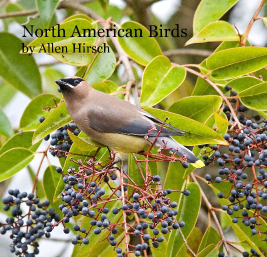 View North American Birds by Allen Hirsch by avwh