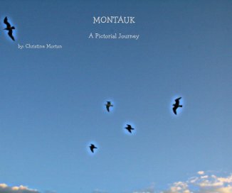 MONTAUK book cover