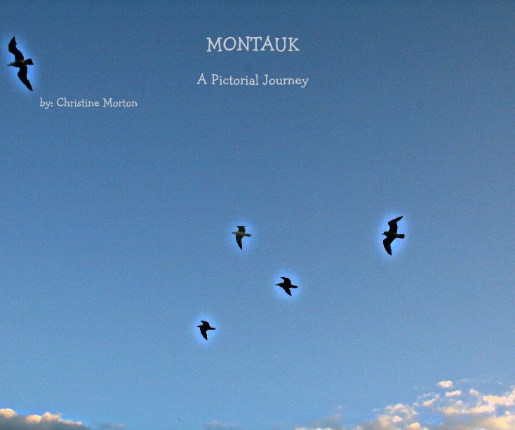 View MONTAUK by by: Christine Morton