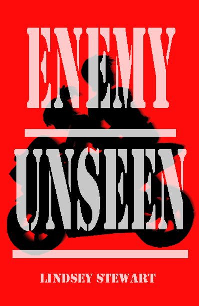 View Enemy Unseen by Lindsey Stewart