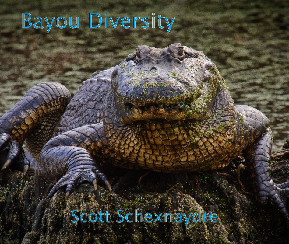 View Bayou Diversity by Scott Schexnaydre