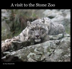 A visit to the Stone Zoo book cover