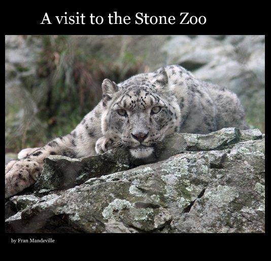 View A visit to the Stone Zoo by Fran Mandeville